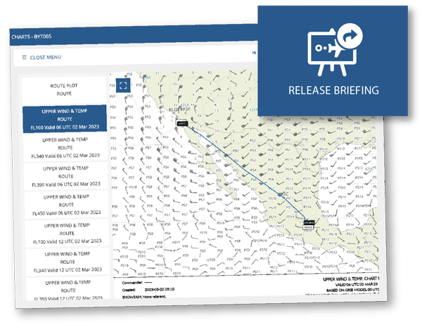 View flight briefings & route weather charts